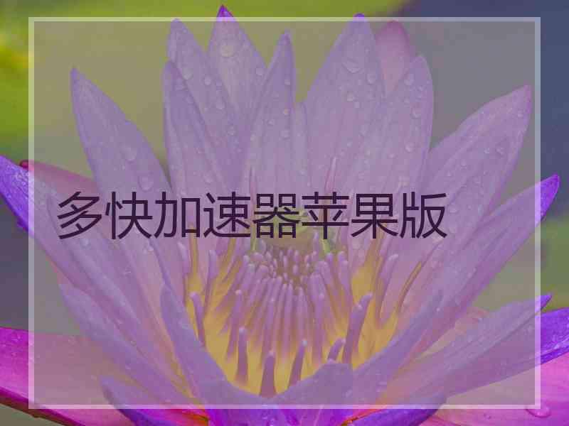 多快加速器苹果版