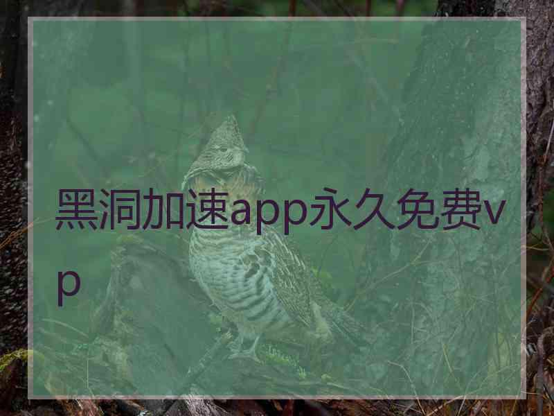 黑洞加速app永久免费vp