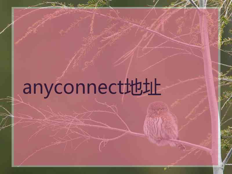 anyconnect地址