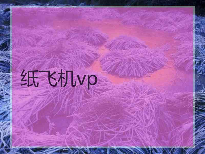 纸飞机vp