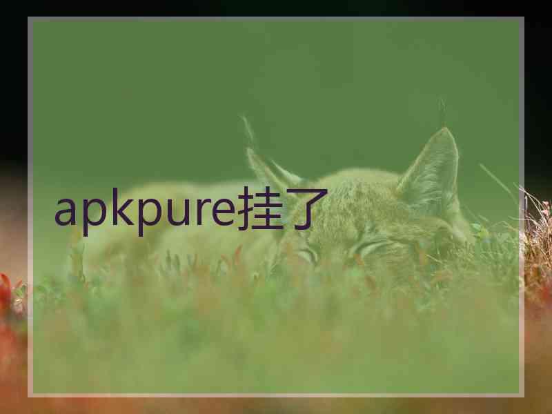 apkpure挂了