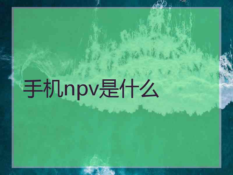 手机npv是什么