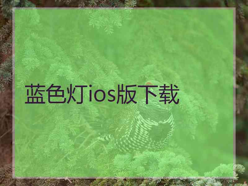 蓝色灯ios版下载