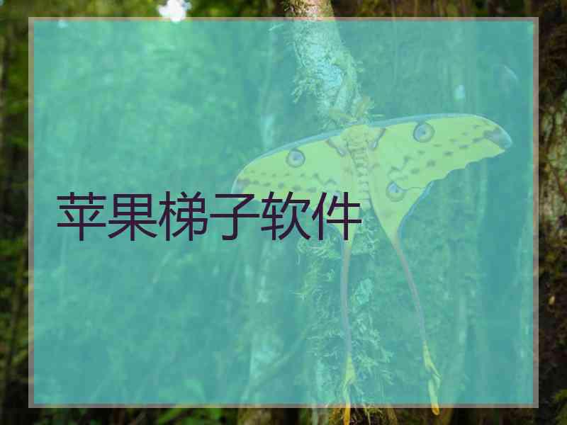 苹果梯子软件