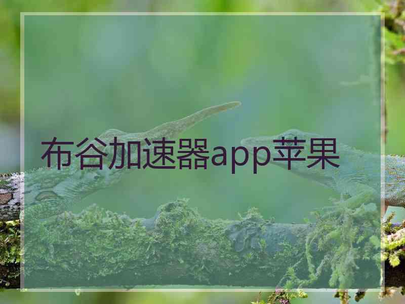 布谷加速器app苹果