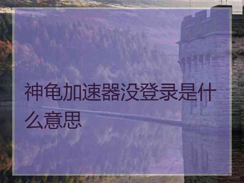 神龟加速器没登录是什么意思