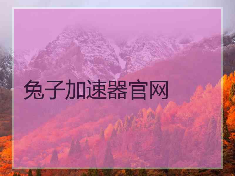 兔子加速器官网