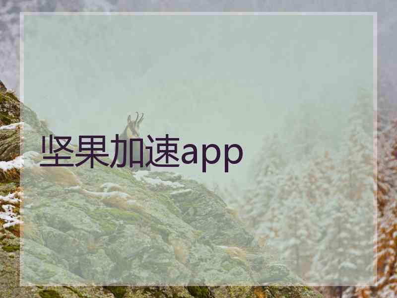 坚果加速app