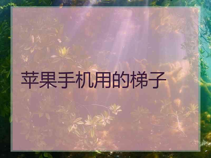 苹果手机用的梯子