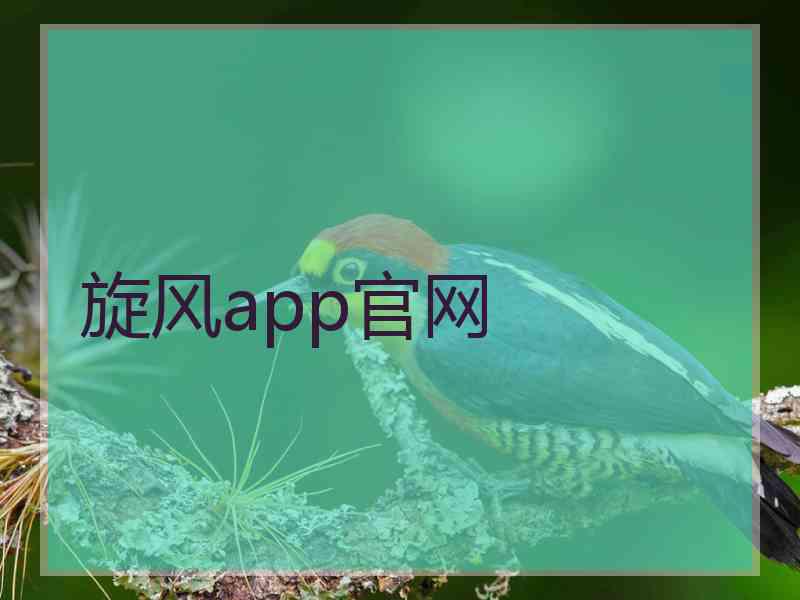 旋风app官网