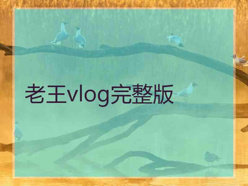 老王vlog完整版