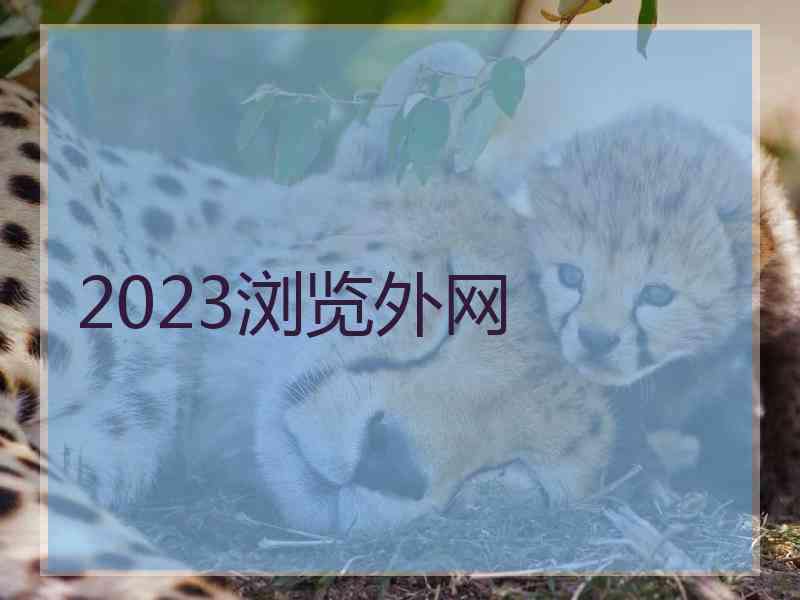 2023浏览外网