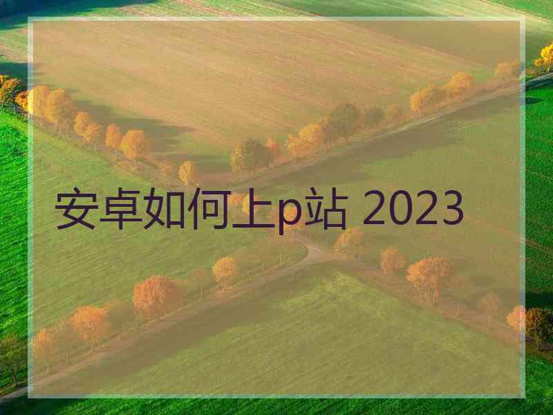 安卓如何上p站 2023