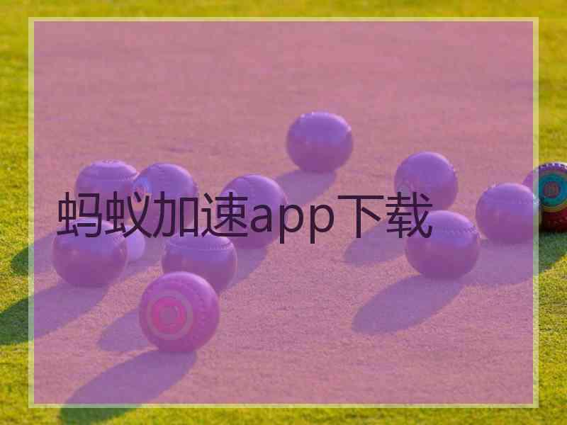 蚂蚁加速app下载