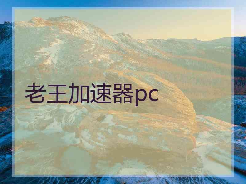 老王加速器pc