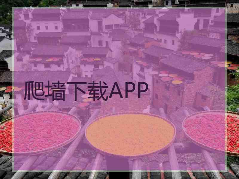 爬墙下载APP