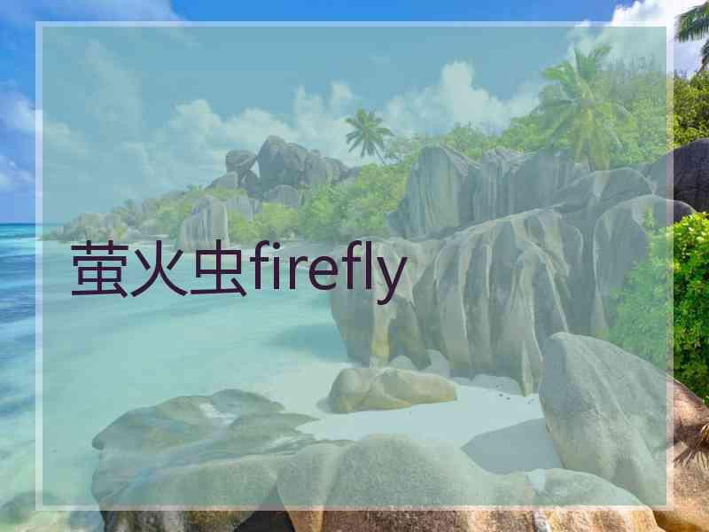 萤火虫firefly