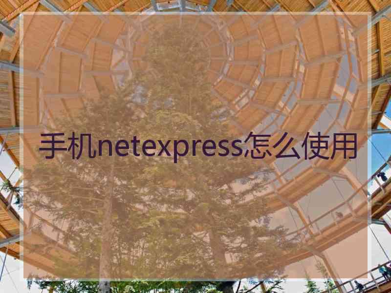 手机netexpress怎么使用