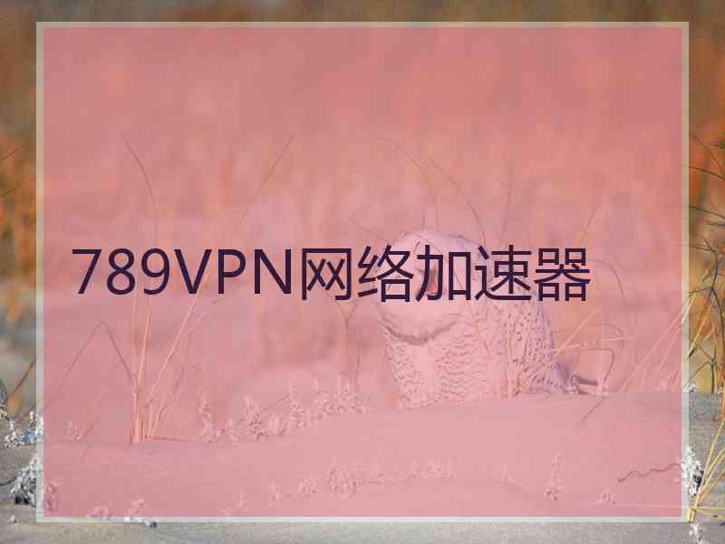 789VPN网络加速器