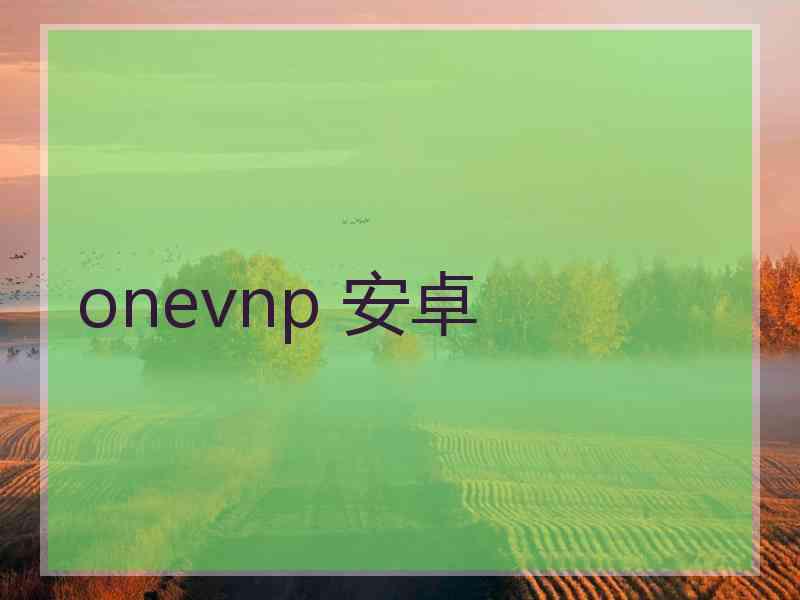 onevnp 安卓