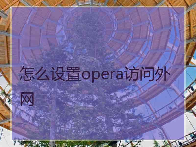 怎么设置opera访问外网