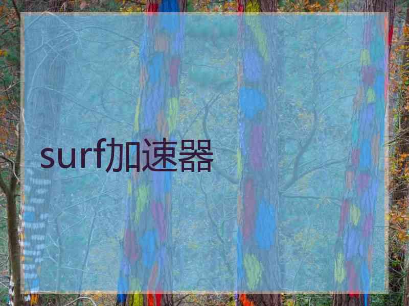 surf加速器