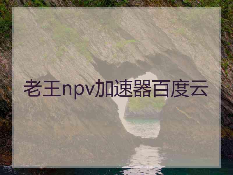 老王npv加速器百度云