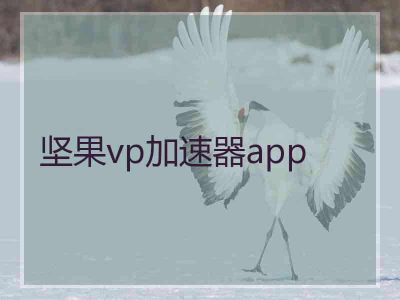 坚果vp加速器app