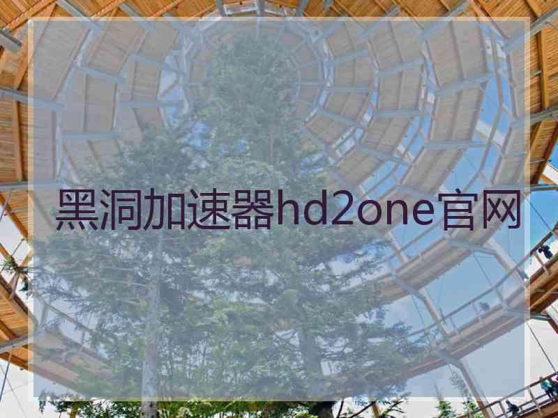 黑洞加速器hd2one官网