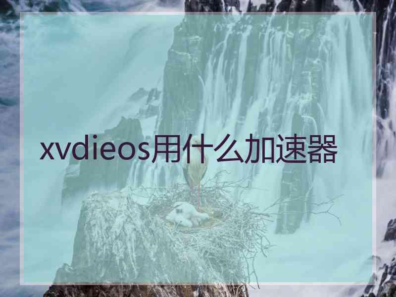 xvdieos用什么加速器