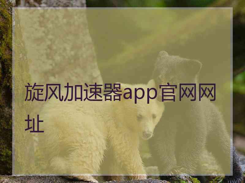 旋风加速器app官网网址