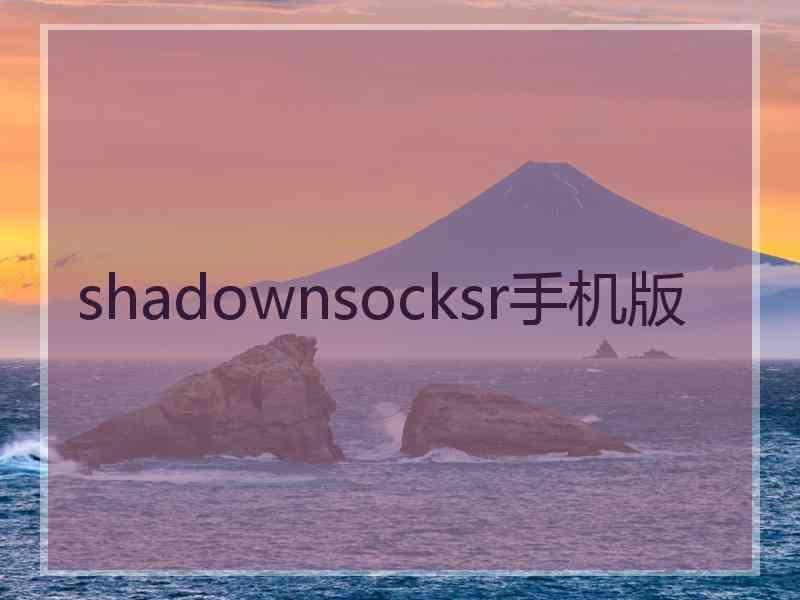 shadownsocksr手机版