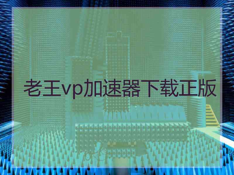 老王vp加速器下载正版