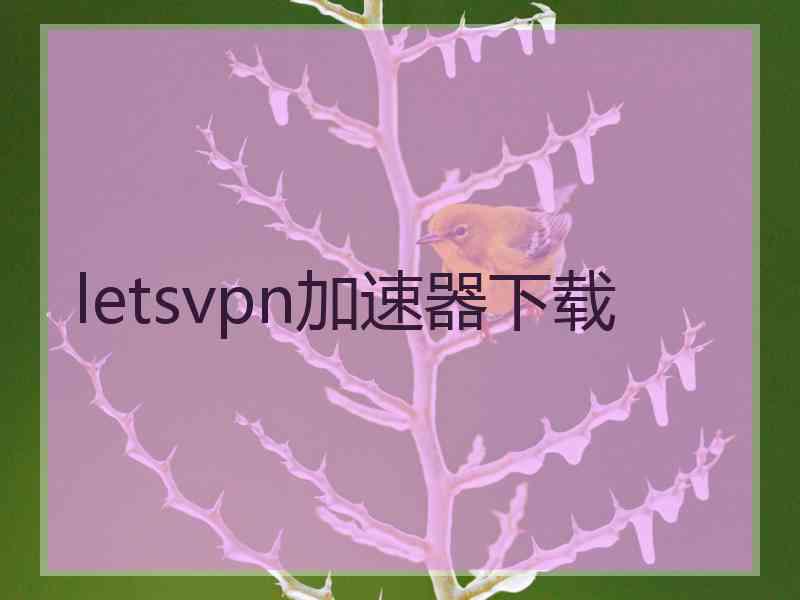 letsvpn加速器下载