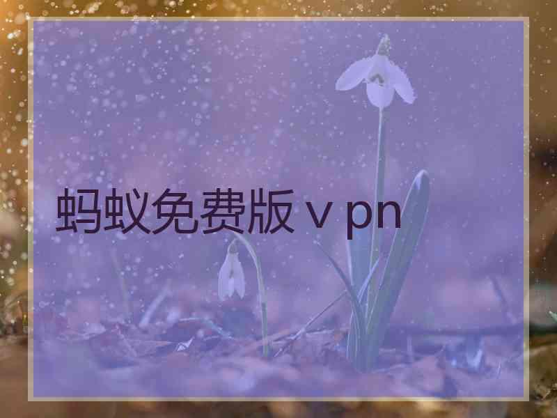 蚂蚁免费版ⅴpn