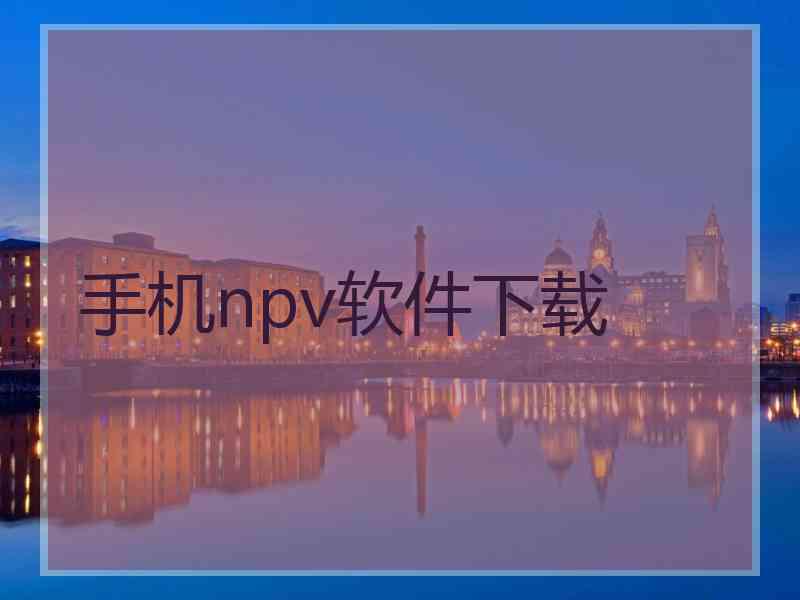 手机npv软件下载