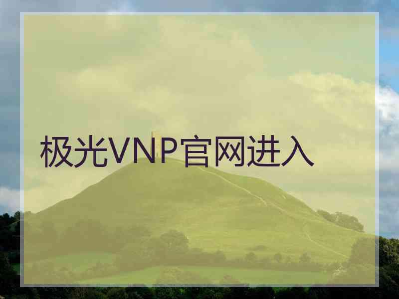 极光VNP官网进入