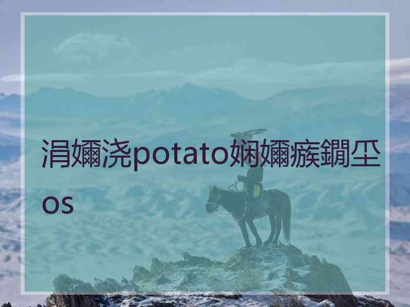 涓嬭浇potato娴嬭瘯鐗坕os