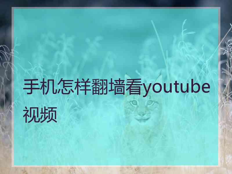 手机怎样翻墙看youtube视频