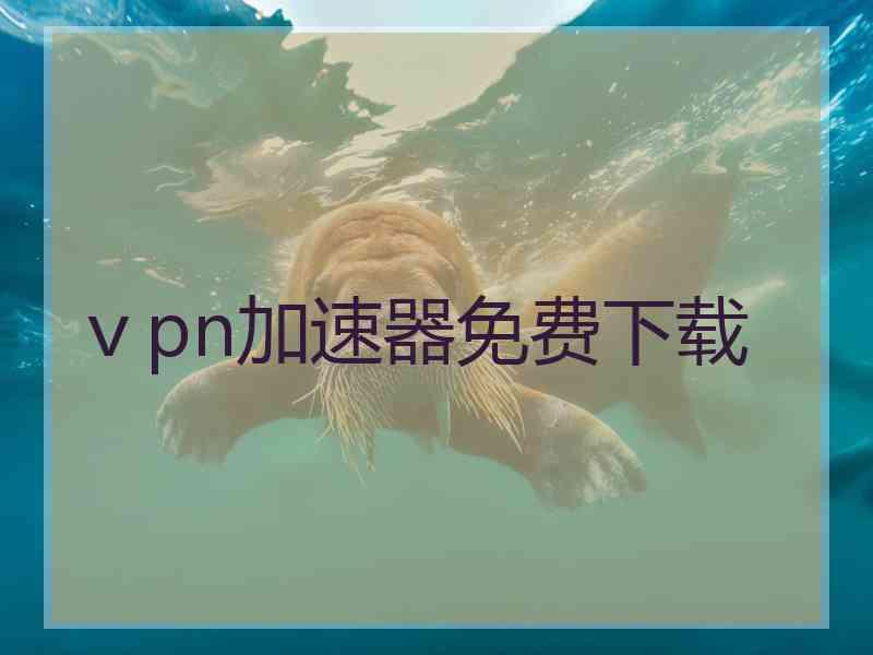 ⅴpn加速器免费下载