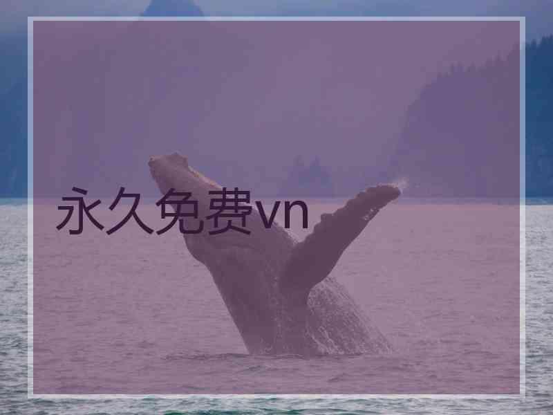 永久免费vn