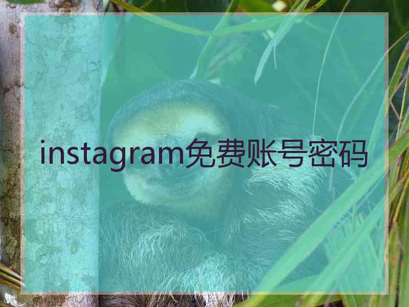 instagram免费账号密码