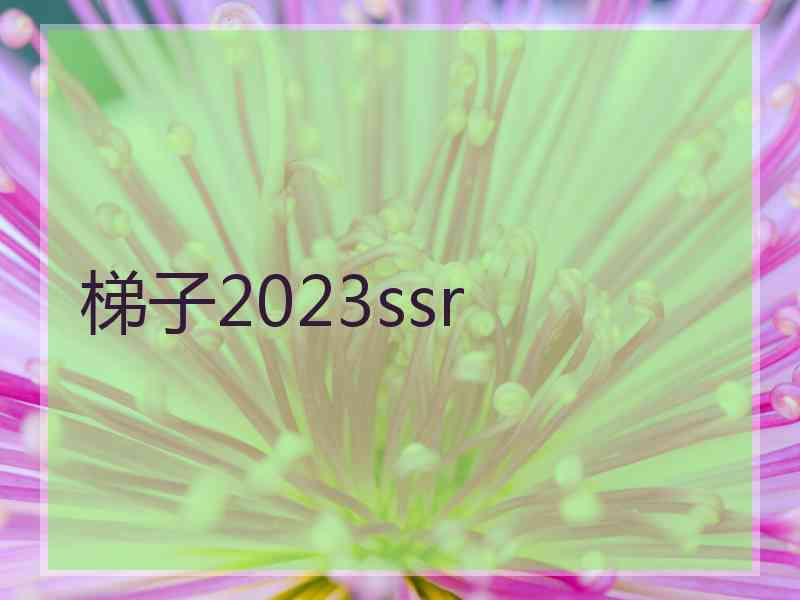 梯子2023ssr