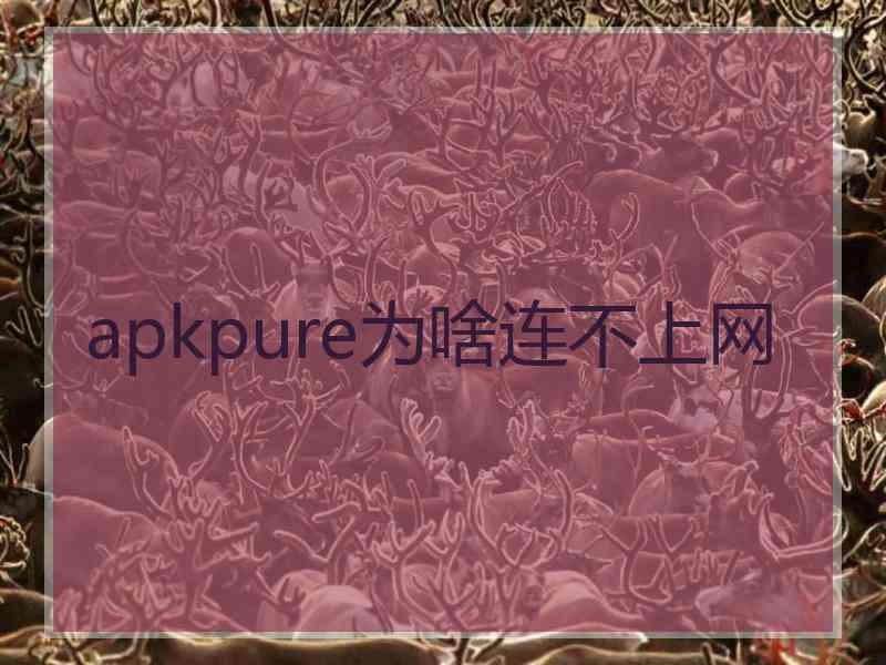 apkpure为啥连不上网