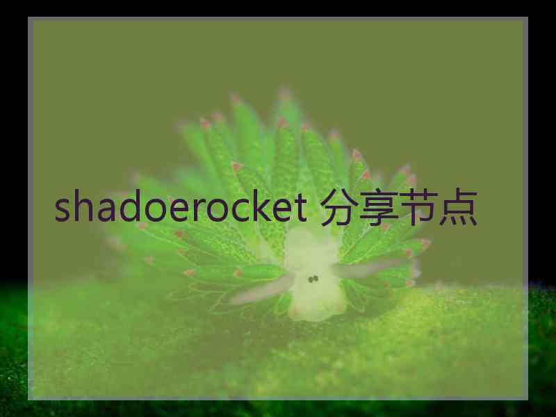 shadoerocket 分享节点