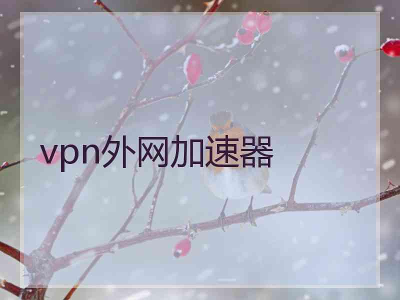 vpn外网加速器