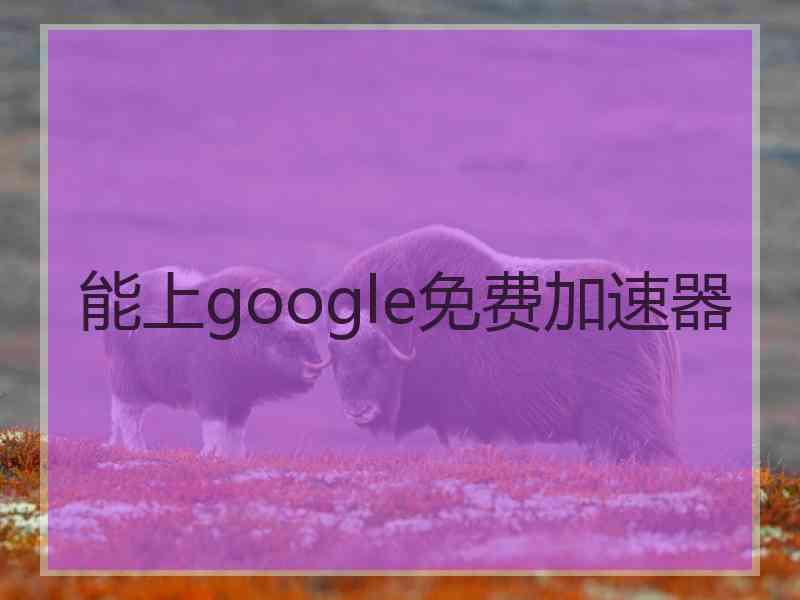 能上google免费加速器