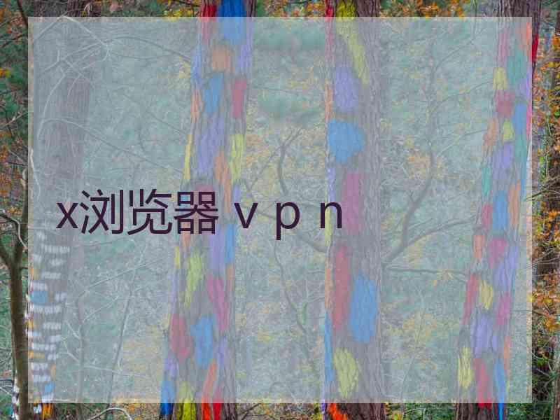 x浏览器 v p n