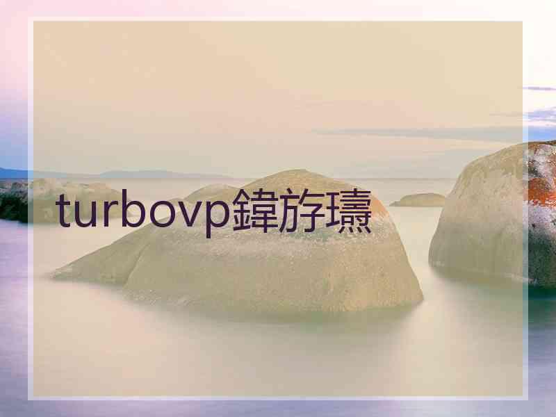 turbovp鍏斿瓙