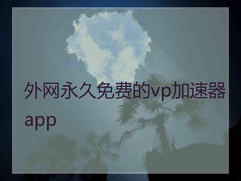 外网永久免费的vp加速器app